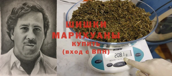 МДПВ Богородицк