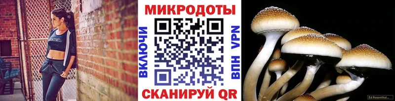 Псилоцибиновые грибы ЛСД  Сызрань 